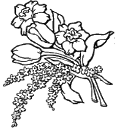 coloriage tulipes et narcisses